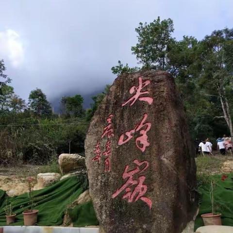 热带植物的王国，珍稀动物的故乡——海南热带雨林国家公园：尖峰岭