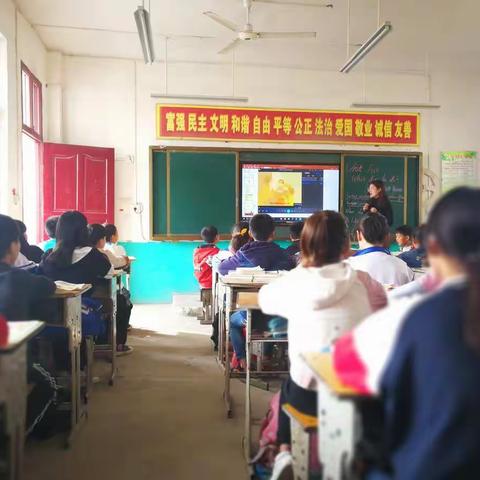 让英语课堂更加生机盎然－邱庄小学英语教研活动