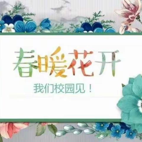 数学小讲师活动——金牌小讲师