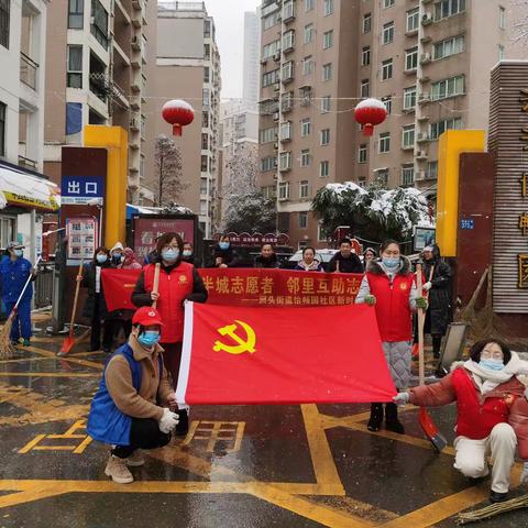 【洲头街道怡畅园社区】齐心协力除冰雪，汗水融化暖人心