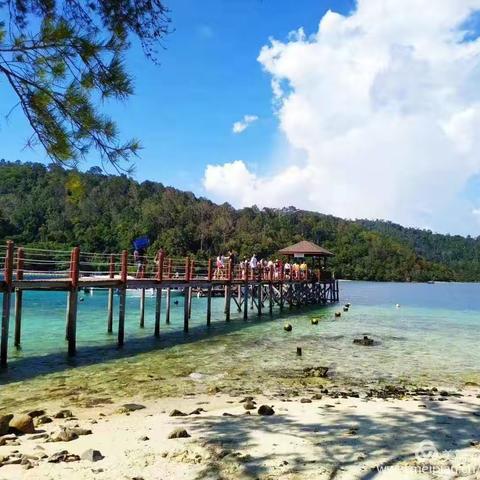 【诗韵尚小•学习】——尚嵇小学三（5）班第十二周线上学习汇报