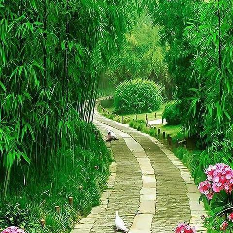 【诗韵尚小•学习】——尚嵇小学三（5）班第十周线上学习汇报