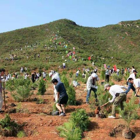 种植一棵小树          绿化一方净土——朝那镇幼儿园植树节主题教育活动