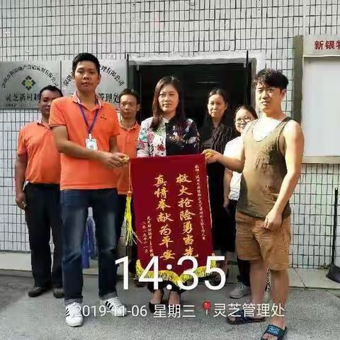 灵芝管理处一周工作汇报2019.11.2—2019.11.8