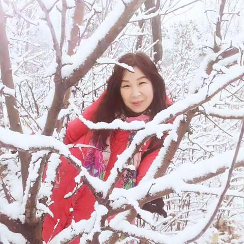 冬雪