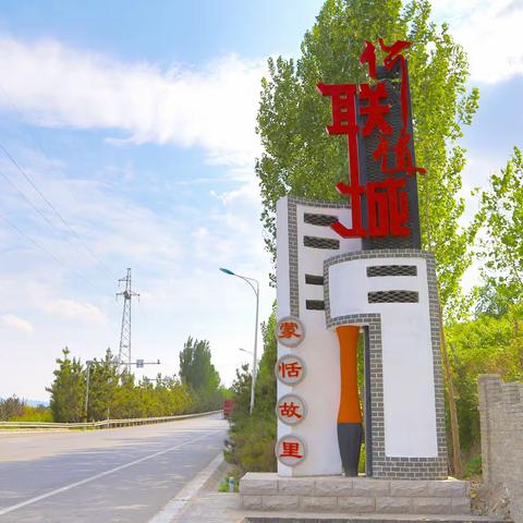 【奋进新征程  建功新时代】联城镇：党组织领办合作社奏响集体增收“进行曲”