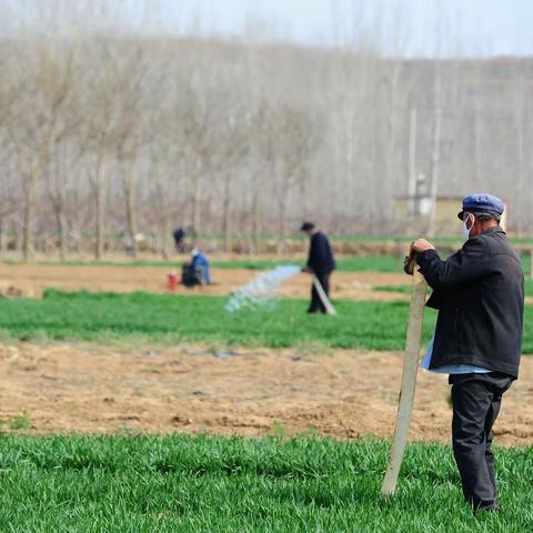 联城镇：春耕备播新希望  不负春季好时光