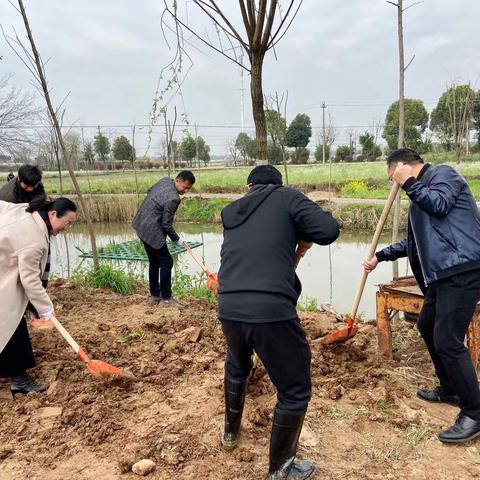 携手添绿意，挥锹植新绿| 赤溪街道开展义务植树活动