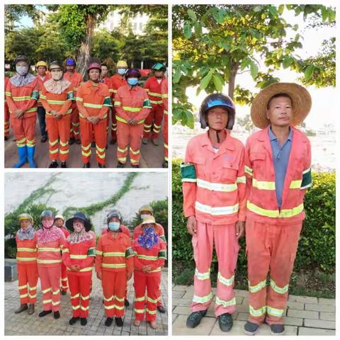 【龙马环卫】崖州区8月29日园林片区工作简报