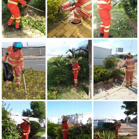 【龙马环卫】崖州区9月5日园林片区工作简报