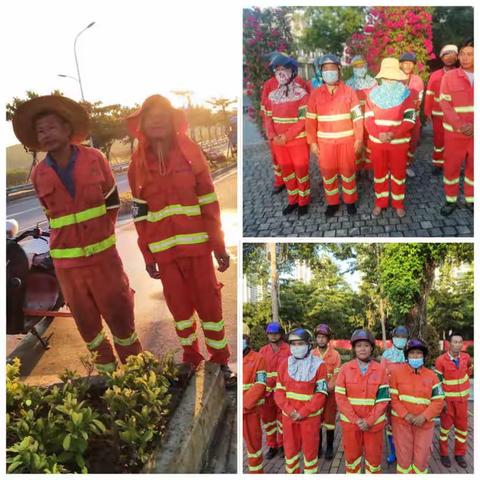 【龙马环卫】崖州区8月28日园林片区工作简报