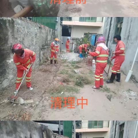 为改善农村人居环境，建设美丽宜居乡村，崖州龙马正在进行中