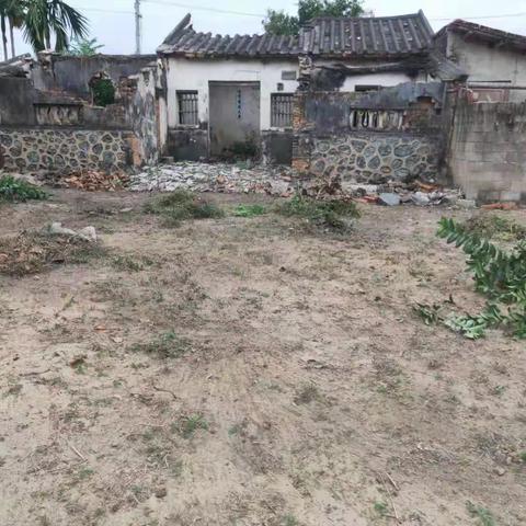 【龙马环卫】崖州区2020年12月11日人居环境整治简报