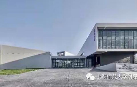 上海师范大学附属合肥实验学校迎来心理辅导室认定检查