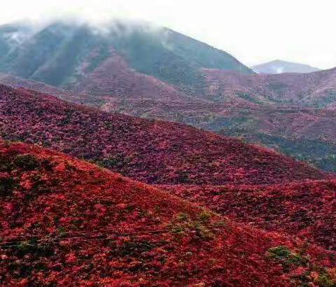 渑池县全面完成2016年度部门决算公开工作