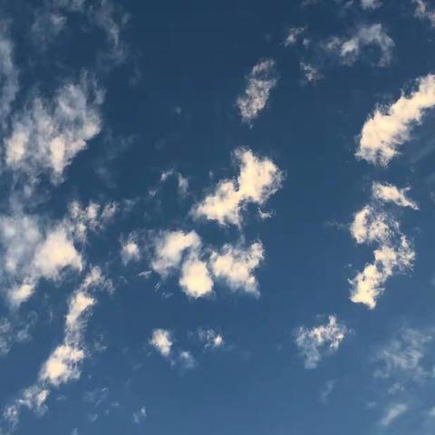 渑池县财政局召开财政收入工作促进会