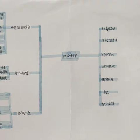 综合性学习思维导图展示台