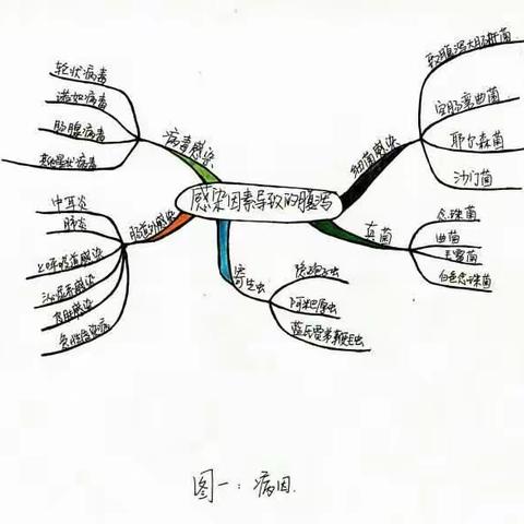 可可狮微课宝宝腹泻怎么办