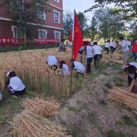 支部共建“麦”相连，党旗飘飘映征程——130团中学党支部与共青路社区党支部开展联合主题党日活动