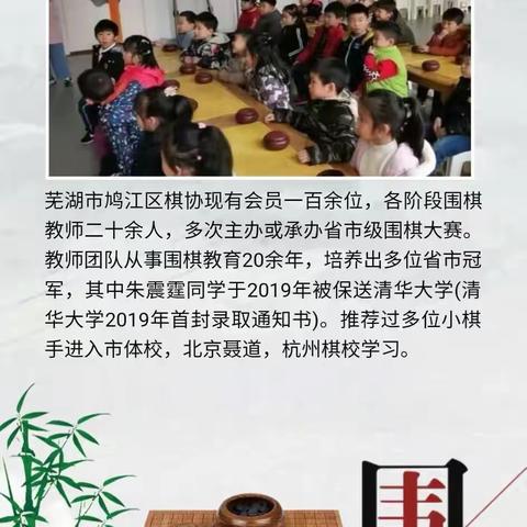 鸠江区棋协（达尔问围棋）