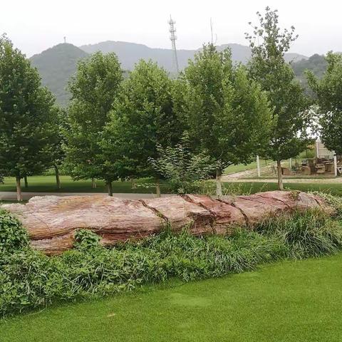 往事如歌（十七）