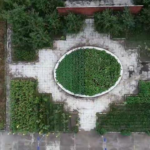 小菜园 大收获