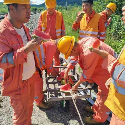 送清凉、保安全、促生产
