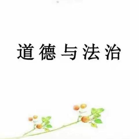 化马湾乡想家峪小学———道德与法治课标学习