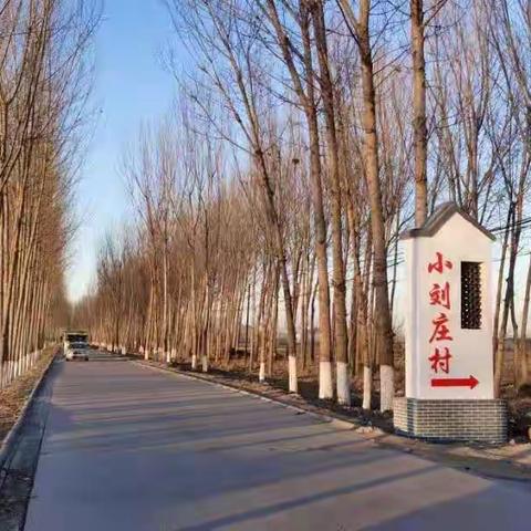 交通运输局会同农业农村局对响嘡镇田闫线美丽农村路创建工作进行考核验收