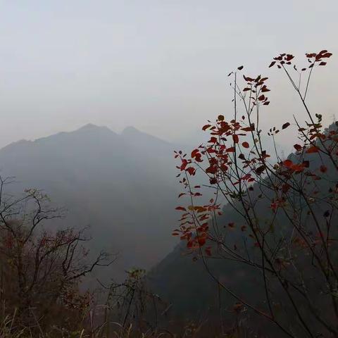 冬日的谢家岭