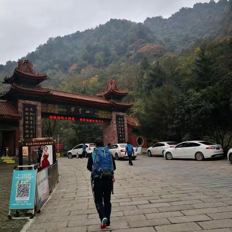 重阳翠华赏秋
