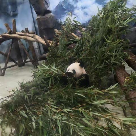 成都行第2日