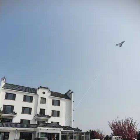 戏纸鸢，浸童趣——和中二班的小朋友一起放风筝