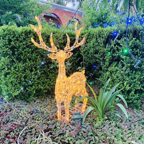 圣诞节🎄中王长荣，辛苦忙碌了一年，疫情的影响一直隔离在悉尼，这两天门前照些照片以此调整一下心情❤️