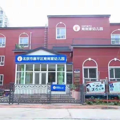 昌平区育树家幼儿园科学小实验