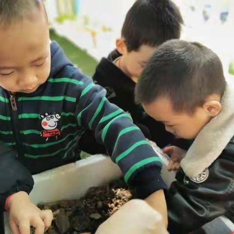 带孩子种菜🌱感受生命的喜悦❤️