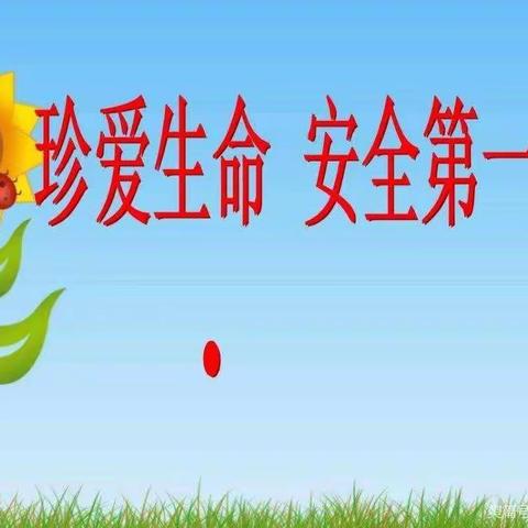 🌟星兴艺术幼儿园🌟                     大二班假前安全教育活动