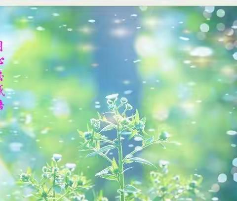 集备，我们在路上—一年级集备纪实