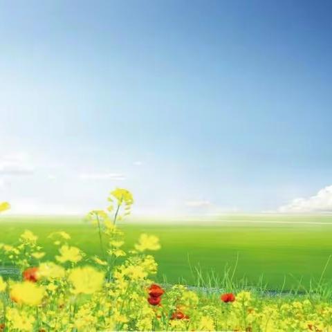 线上集备，你我同行—一年级线上集体备课纪实