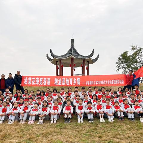 油菜花海觅春意，粮油基地育乡情——泸县桐兴小学2023届学生劳动研学实践活动