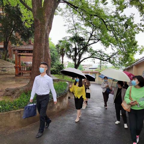 督导促规范 督导促提高——桐兴小学迎接德育、美育和心理健康教育工作调研督导