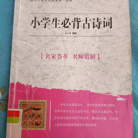 东盛小学2年2班家庭读书会第45期《小学生必背古诗词》