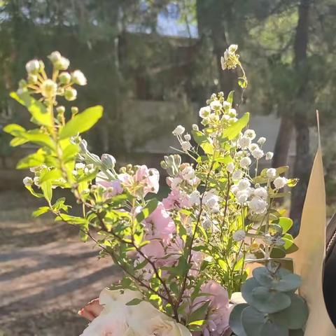 师情“花”意 漫赏芳华 ——通海一中开展插花、赏海棠活动