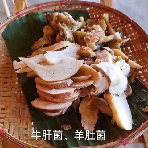 丽江.美食打探