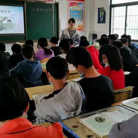 坚持很难，结果很甜——记录罗集中心小学第九次语文教研活动