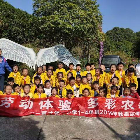 育才第三小学2019年秋季海天山庄研学圆满完成