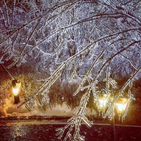 ❄️探寻“冰雪王国”的秘密——冻雨🌧️