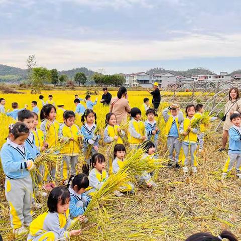 粮全其美，不负食光——黎川县幼儿园大四班班本课程