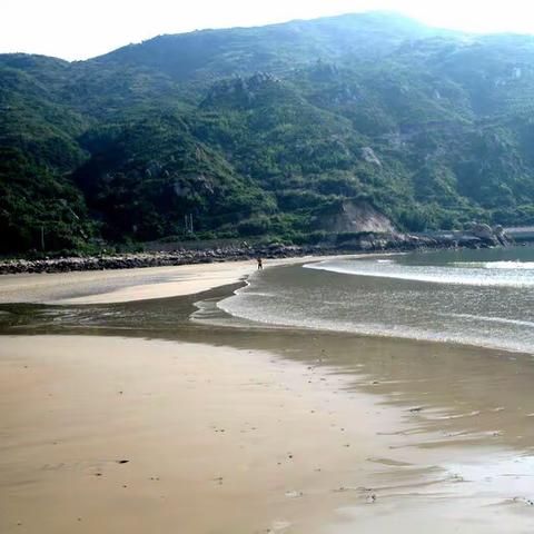 金秋游小白鹭-浙商银行