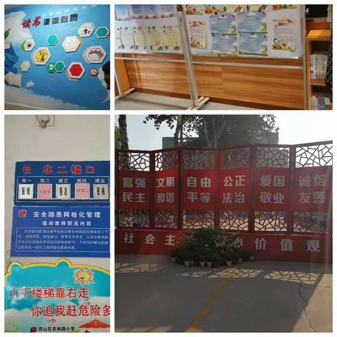 影子培训—农林路小学之行